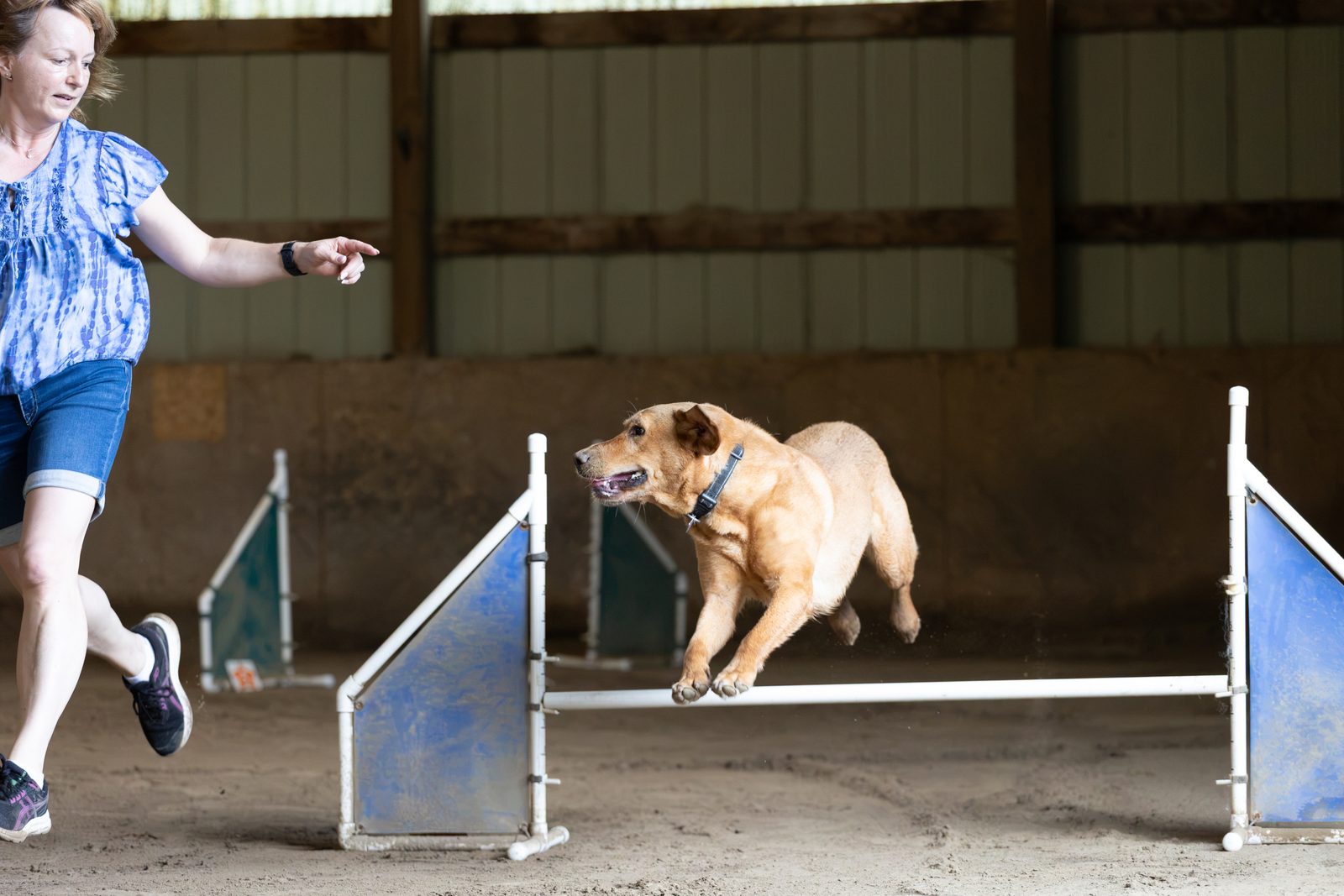 Beginner Agility Foundations (Level 1)