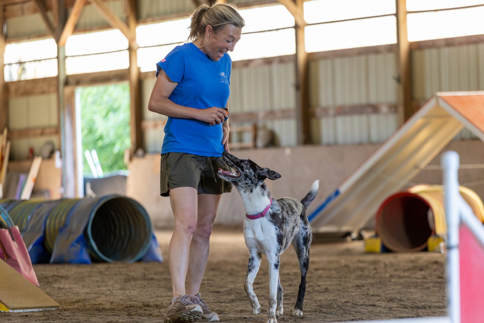 Intermediate Agility Foundations (Level 2)