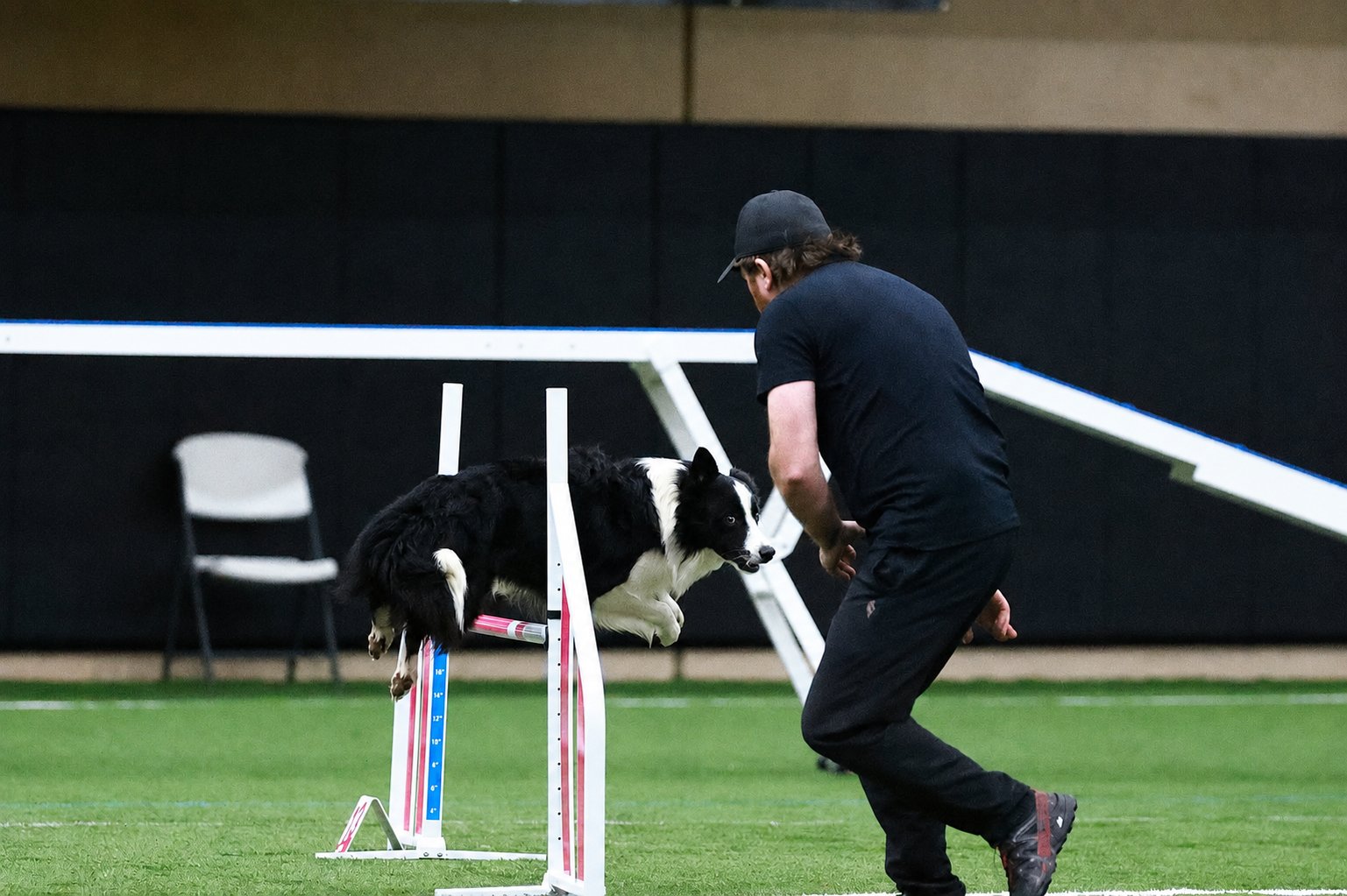 Jesse handling his Border Collie Hops over an agility jump